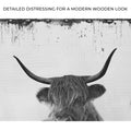 Highland Cattle Bath Canvas Wall Art II by Tailored Canvases