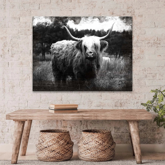 Highland Cattle Monochrome Canvas Wall Art by Tailored Canvases