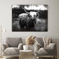 Highland Cattle Monochrome Canvas Wall Art by Tailored Canvases