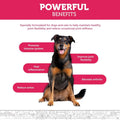 Hip and Joint Advanced Level 2 Formula All Natural Glucosamine Supplement for Dogs and Cat by DailySale