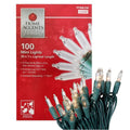 Home Accents Holiday 100 Mini Lights by DailySale