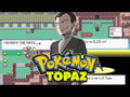 Pokemon Topaz GBA ROM Hack Video Game Custom Gameboy Advance by VintageVideoGameStore