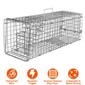 Humane Live Animal Rodent Cage Collapsible Galvanized Wire by DailySale
