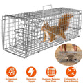 Humane Live Animal Rodent Cage Collapsible Galvanized Wire by DailySale