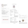 IGI Certified 2.13 Ct Multi Color Unheated Sapphire Diamond channel-set 14K White Gold J Hoop Earrings by Fine Color Jewels