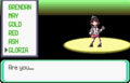 Pokemon Quetzal GBA ROM Hack Video Game Custom Gameboy Advance by VintageVideoGameStore