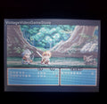 Tales of Phantasia GBA Video Game Cartridge Game Boy Advance 2006 by VintageVideoGameStore