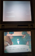 Animal Crossing Wild World NDS Video Game Cartridge Nintendo DS 2005 by VintageVideoGameStore