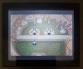 Pokemon Mystery Dungeon Red Rescue GBA ROM Hack Video Game Boy Advance by VintageVideoGameStore
