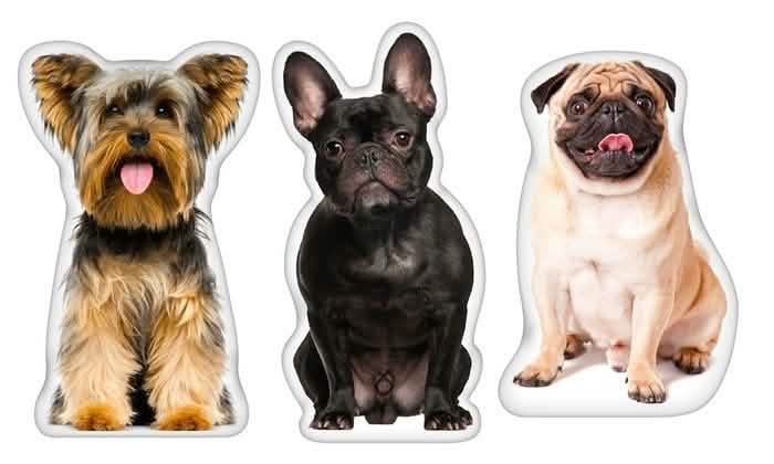 LiLiPi Dog-Shaped Accent Pillow - Assorted Styles by DailySale