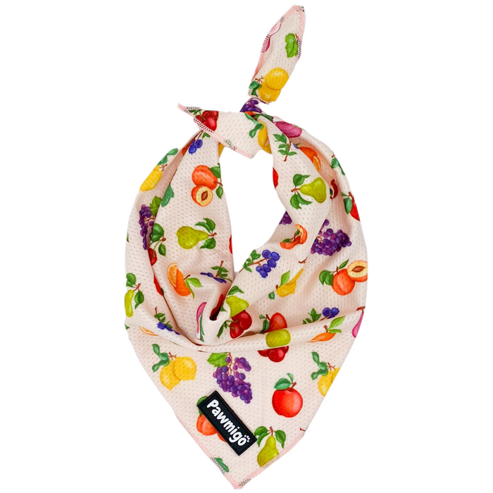 Frootie Patootie Cooling Bandana by Pawmigo