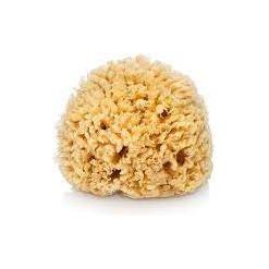 The Sponge Company Sea Silk Bathing Sponge #1 BABY by Pasteur Pharmacy