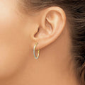 10k Gold Medium Oval Hoop Earrings by Fine Color Jewels