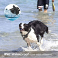iMountek Dog Training Collar IP by DailySale