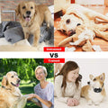 iMountek Dog Training Collar IP by DailySale