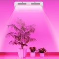 iMountek LED Plant Grow Lights 1000W by DailySale
