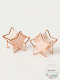 2 PC RH Macy Beauty Collection Cosmetic Star Shaped Sponge & Holder Pink by Vanessa Jane