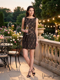 Aidan by Aidan Mattox Women's Sleeveless High Neck Lace Dress,Size 6 by Vanessa Jane