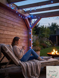 UltraLED Battery Operated Frosted Twinkle Light String, Blue by Vanessa Jane