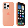 iPhone Silicone Case (Begonia) by Vogueen
