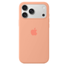 iPhone Silicone Case (Begonia)