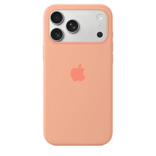 iPhone Silicone Case (Begonia) by Vogueen