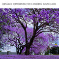 Jacaranda Trees Canvas Wall Art by Tailored Canvases