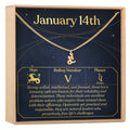 January 14th Capricorn Necklace by Dear Ava