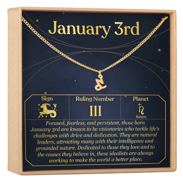 January 3rd Capricorn Necklace by Dear Ava