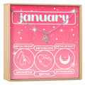January Birthday Necklace, Multiple Styles Necklace by Dear Ava