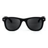 Jetsetter Foldable Sunglasses