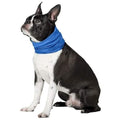 K9 Chill Dog Cooling Collar by DailySale