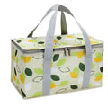Large Capacity Picnic Insulation Bag by DailySale