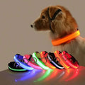 LED Dog Collars Light Adjustable Flashing Luminous Collar Night Anti-Lost by DailySale