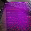 LED Grow Light Full Spectrum Hanging by DailySale
