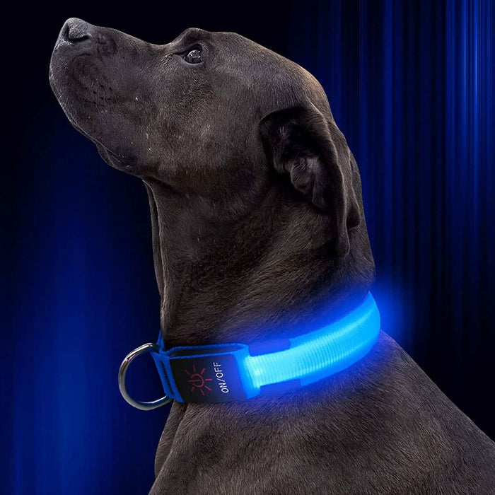 LED Pet Collar by DailySale