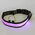 LED Pet Collar by DailySale