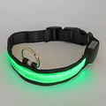LED Pet Collar by DailySale
