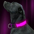 LED Pet Collar by DailySale