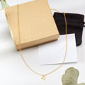 Leo Zodiac Gift Necklace by Dear Ava