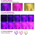 LEOTER Grow Light for Indoor Plants by DailySale