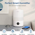 LEVOIT Dual200S Smart Cool Mist Humidifier by DailySale