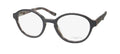 Liebeskind Berlin 11016 Eyeglasses by ModaFrames