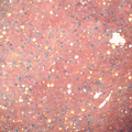 Light Elegance Glitter Gel - Bee In Your Bonnet by The Nail Hub