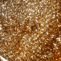 Light Elegance Glitter Gel - Blondie by The Nail Hub