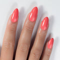 Light Elegance P+ Soak-Off Color Gel Polish - Do the Van Go-Go by The Nail Hub