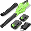 Lightweight Electric Cordless Leaf Blower for Lawn Care With 2 Batteries & Charger by DailySale