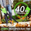Lightweight Electric Cordless Leaf Blower for Lawn Care With 2 Batteries & Charger by DailySale