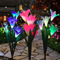 Lily Flower Multi-Color Changing LED Solar Powered Lights by DailySale
