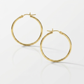 10k Yellow Gold Polished Hoop Earrings 25 mm by Avera Group